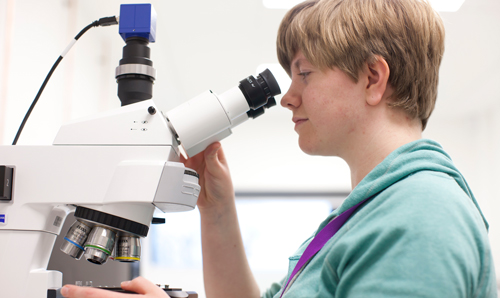 Researcher holding microscope and peering through it